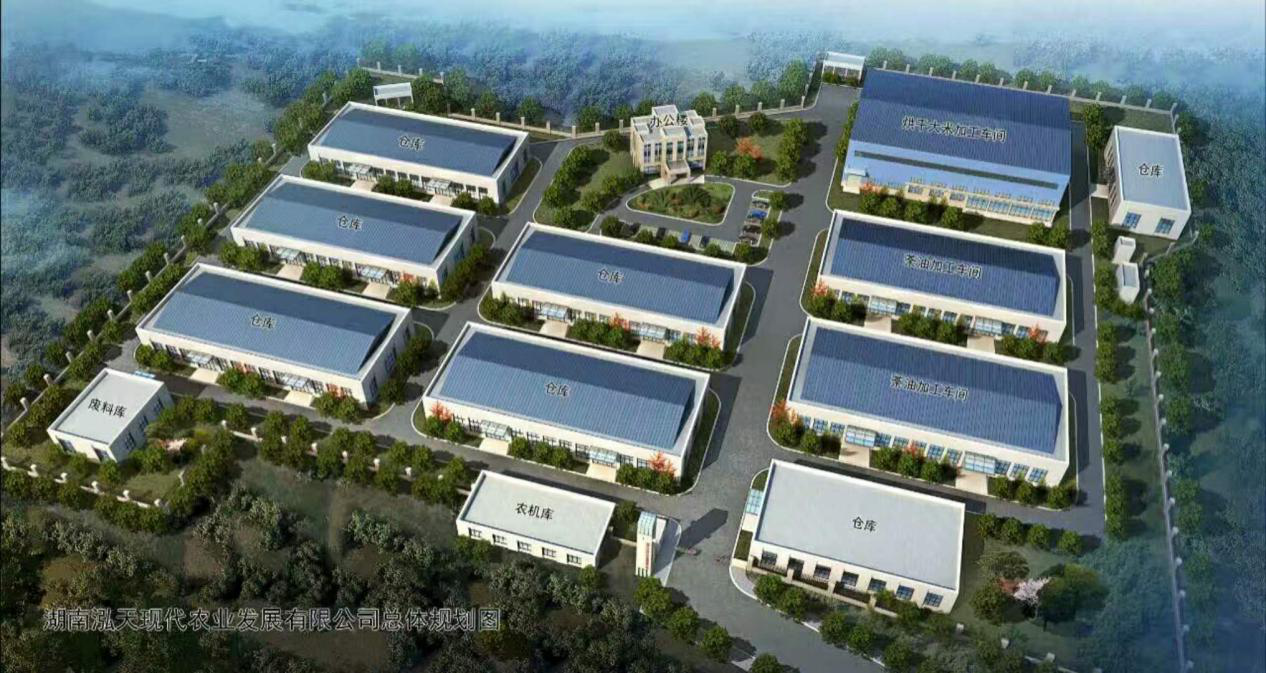 湖南泓天现代农业发展有限公司,湖南大米,四都泰米,春溪贡米,泓天晶米,湖南大米哪里好
