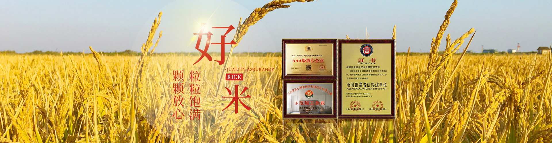 湖南泓天现代农业发展有限公司