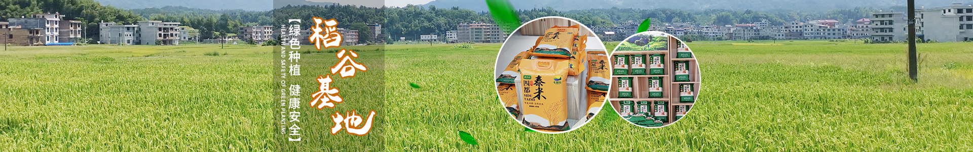 湖南泓天现代农业发展有限公司
